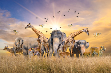 Large group of african safari animals. Wildlife conservation concept - obrazy, fototapety, plakaty