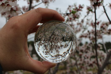 boule de cristal