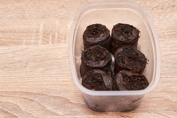 Seeds planted in a plastic box on a wooden table in the house in spring. Seeds in the ground. Seed preparation for planting. seeds of plants and flowers close up. copy space. flat lay