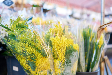 Mimosa spring. Bunches of different colorful flowers in buckets on street flower market in Anemone, poppy