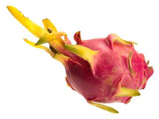 Pitaya cactus fruit isolated object