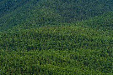 Fototapeta na wymiar Background image of a mountain landscape. Russia, Siberia, Altai