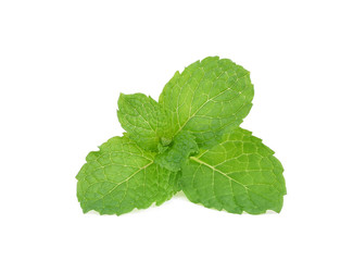 Mint leaves isolated on white background.
