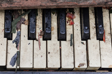 Old broken piano close-up, drops and leaves on broken keys