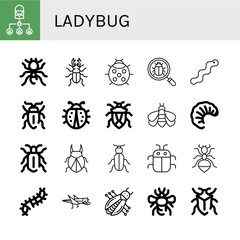 ladybug simple icons set