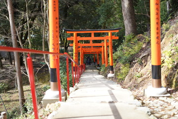 Fototapeta na wymiar 京都の神社の風景