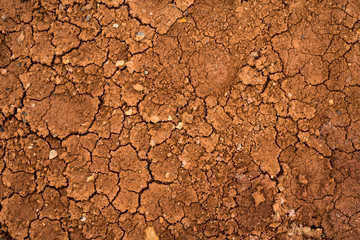 Texture of dried cracked clay. Macro background image of dried clay