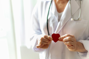 Ärztin hält Herz in der Hand, symbolisch