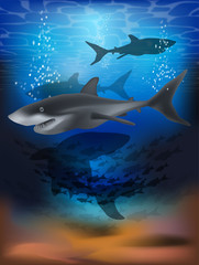 Obraz na płótnie Canvas Underwater wallpaper with shark . vector illustration