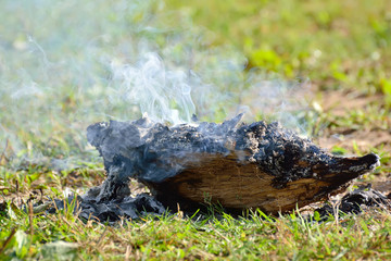 Old stump smokes on the green grass