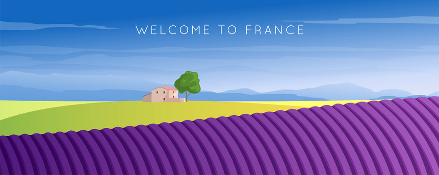 France. Provence landscape. Wide panorama rural countryside in spring or summer. Lavender field, mountains and houses. Vector illustration