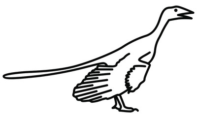 An illustration icon of a Archaeopteryx