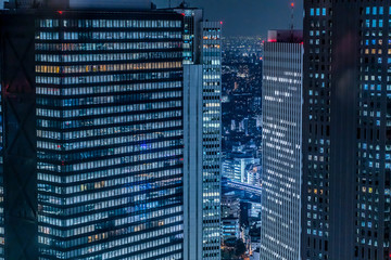 Fototapeta na wymiar 東京 新宿 都庁から見た夜景 ~Night View of Tokyo Shinjuku~