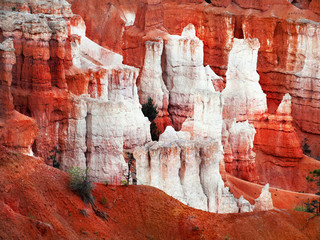 White red hoodoos closeup in Bryce Canyon National Park Utah USA