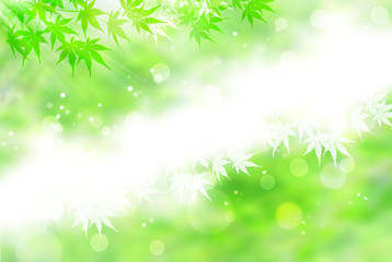 Fototapeta na wymiar 新緑をイメージした葉のシルエット（背景はグリーンのボケ）