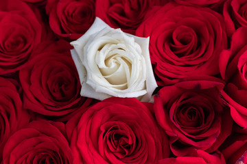 Bouquet of red roses with a single white rose in the center