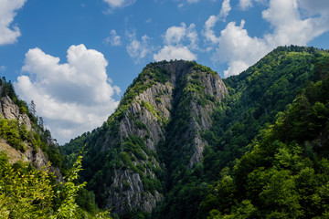 Mountains covered with green forest with puffy clouds in the background