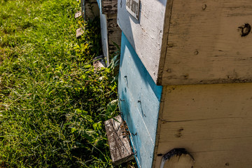Closeup of a beehive entrance filled with bees