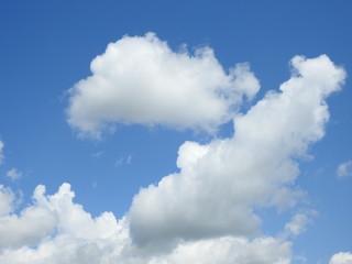 Naklejka na ściany i meble Puffy clouds on a sunny day
