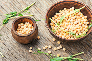 Dry pea and pea sprouts