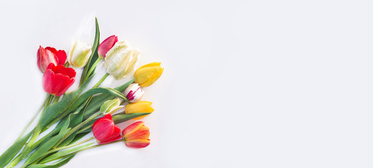 Bouquet of fresh multicolored tulips on white background; Space for text, flat lay