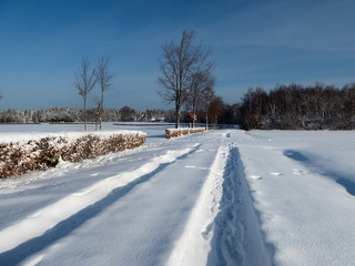 Obraz premium Winterliche Heckenlandschaft in der Eifel