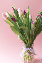 Obraz premium bouquet of pink and purple tulips in a vase on pink background, spring flowers for women, copy space