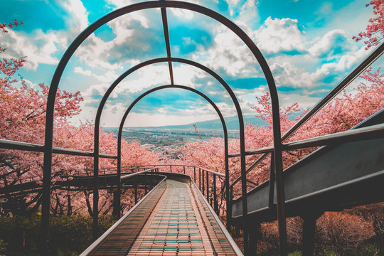 railway bridge in autumn
