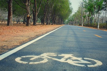 Obraz premium road in forest