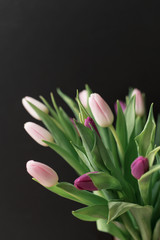 bouquet of pink and purple tulips on a black background, spring flowers for women, copy space