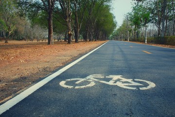 road in forest