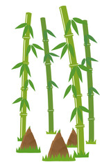 竹　筍