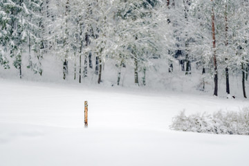 A single fence post in snow