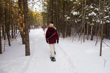 Back view of warmly dressed woman walking with snow shoes in path with couple in soft focus background, Léon-Provancher Domain, Neuville, Quebec, Canada
