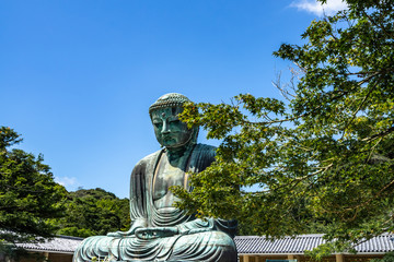 Obraz premium Scenic view of the Great Buddha of Kamakura in a clear summer day, Japan