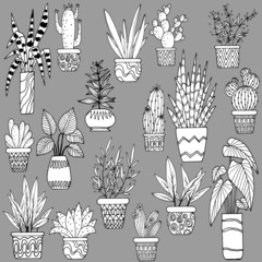 vector stock illustration, set of flowerpots in monochrome colors, isolate on gray background, book ornament