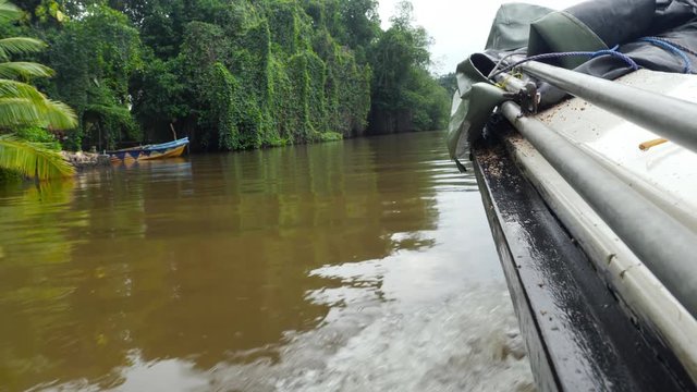 view from the water on motorboat side sailing on tropcial river in jungle forest