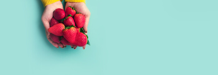 red strawberries in hands over blue background, summer berries, panoramic mock-up