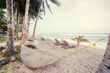 Tropical landscape. Hammock on sand beach with coconut palm trees.