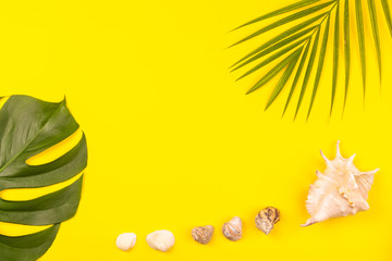 Top view on monstera and palm leaves with sea shells on yellow background. Concept of beach holiday, sea tour, warm sunny summer. Advertising space