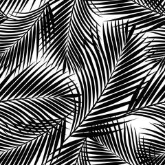 Black and white tropical palm leaves texture