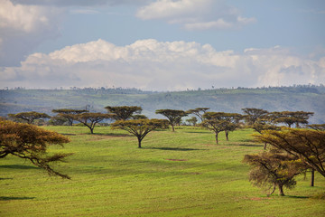 African landscapes