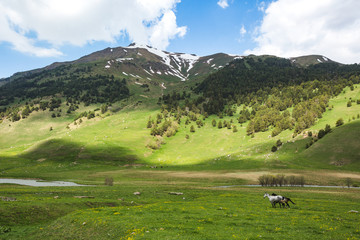 Caucasus Mountains spring landscape. Karachay-Cherkessia, Russia