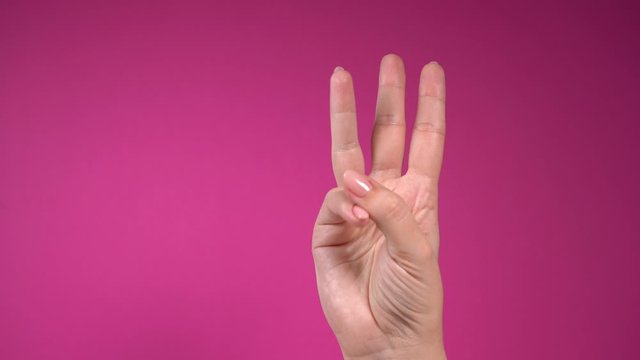 Closeup 4k video of isolated female hand counting from 0 to 5 isolated on pink background. Woman shows fist first, then one, two, three, four, five fingers. Manicured natural nails. Math concept.