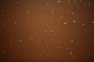 foam on sandy tropical ocean beach