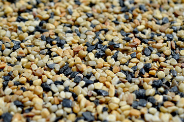pebbles background