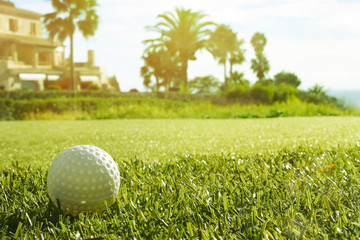 Golf club and golf ball in grass in sunrise.