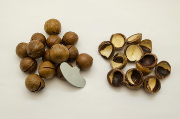 Macadamia nut. Kernels, shell, key, close-up, isolate white background