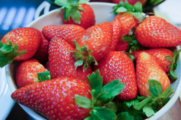 Bowl of fresh and red strawberry.