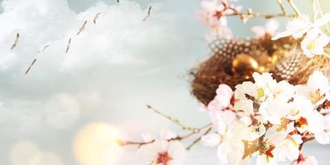 Easter background, Spring concept